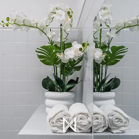 Mystay - Happy Mountain First Porto